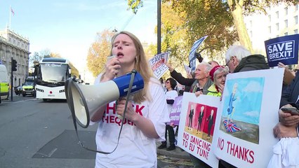 Brexit: pro- et anti-UE unis contre l'accord de Theresa May