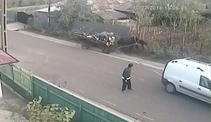 Comment expliquer ce qu'il se passe dans cette rue en Roumanie ?