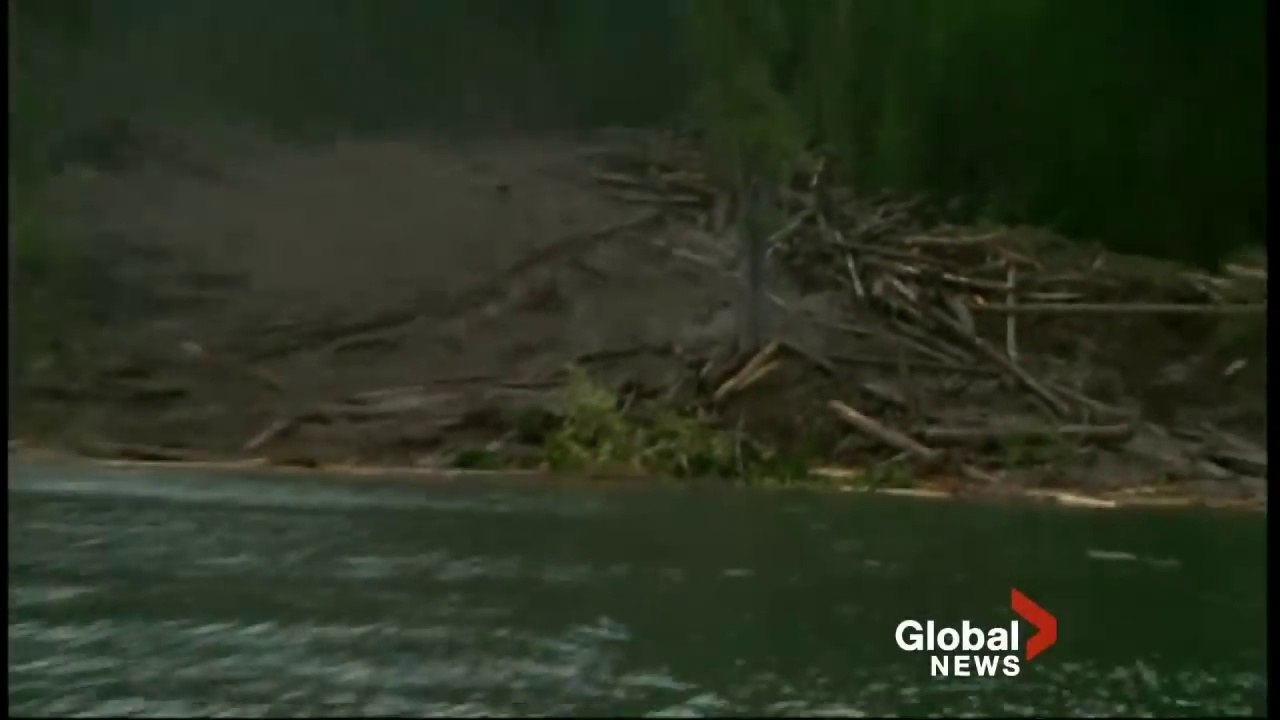 Il filme une coulée de boue impressionnante qui ravage cette foret...