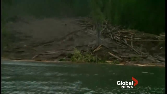Il filme une coulée de boue impressionnante qui ravage cette foret...