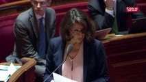Effets de seuils sur la CSG : Agnès Buzyn s'oppose à un amendement du Sénat