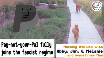 Pay-not-your-Pal fully joins the fascist regime -Walkies with Abby