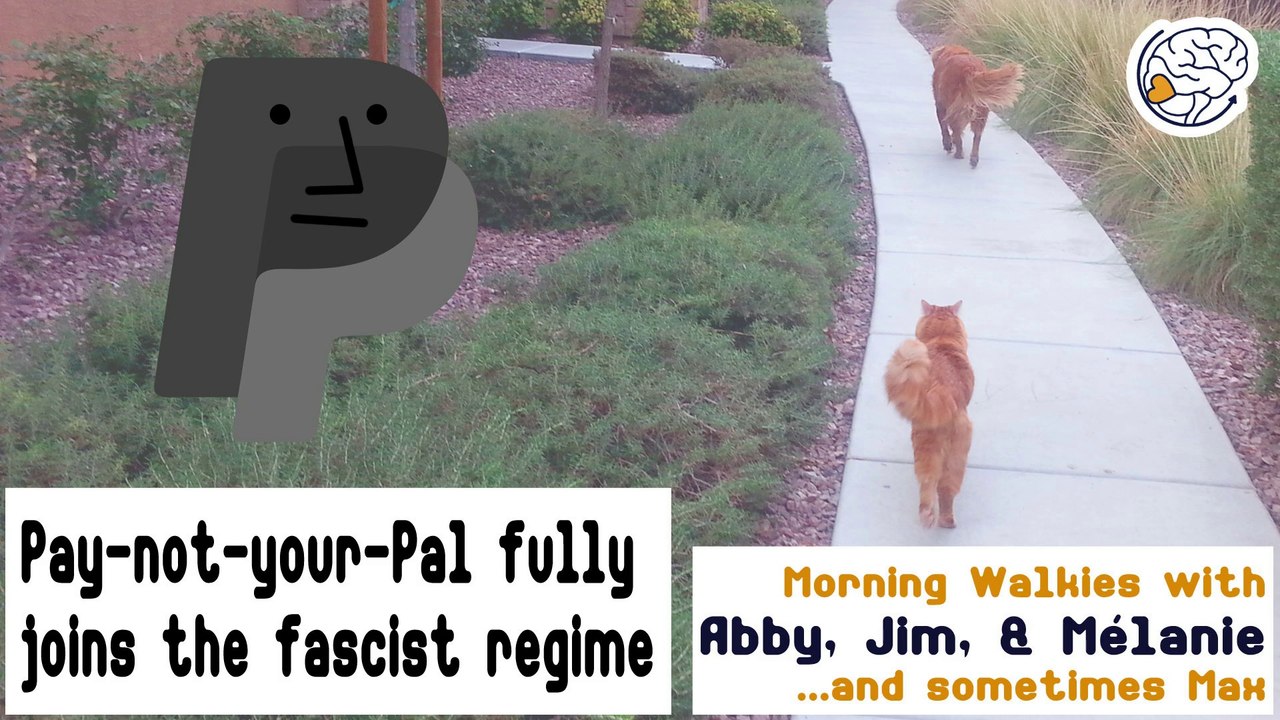 Pay-not-your-Pal fully joins the fascist regime -Walkies with Abby