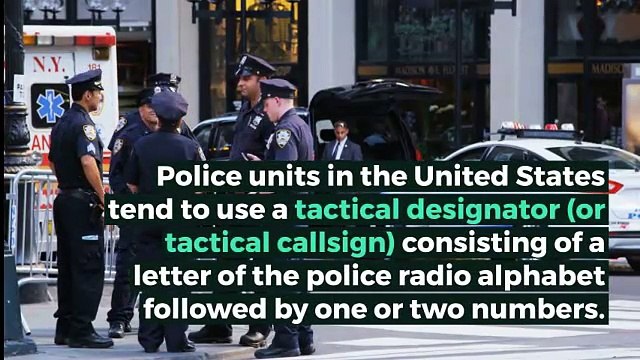 What is TACTICAL DESIGNATOR? What does TACTICAL DESIGNATOR mean? TACTICAL DESIGNATOR meaning - TACTICAL DESIGNATOR definition - TACTICAL DESIGNATOR explanation