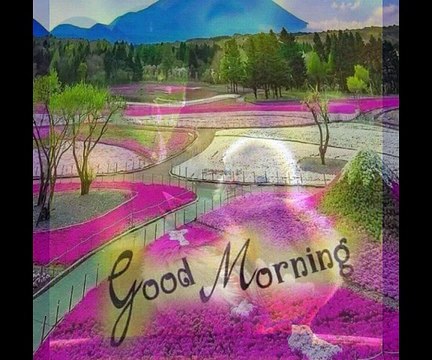 Good morning everyone.