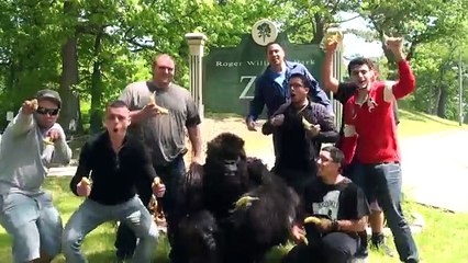 Classic Gorilla In Real Life Hidden Camera Prank 2018