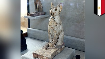 Dozens of cat mummies, statues discovered in ancient tomb