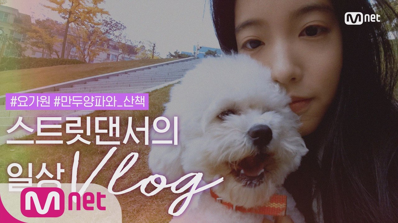 스트릿댄서의 일상. 요가하기. 비숑 2마리랑 같이 산책하기. 괜히 이상형 말해보기♡ / 브이로그 / Vlog