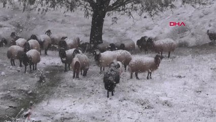 Doğu Kar Hapsinde 270 Köy Yolu Kardan Kapandı