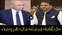 Senate chairman asks Fawad to apologise