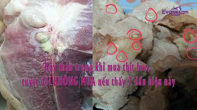 2. Mẹo nhà bếp - Hãy thận trọng khi mua thịt heo, tuyệt đối KHÔNG MUA nếu thấy 7 dấu hiệu này