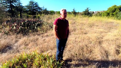 4.Valeurs communes du vin