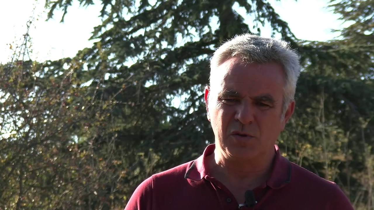 1. Aventure d; origine collective