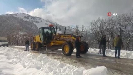 Tunceli'nin İlçelerinde Kar Etkili Oldu... Pülümür'de Okullar Tatil Edildi