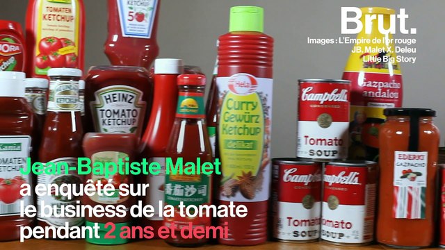 Ce qui se cache derrière l'industrie de la tomate en Italie