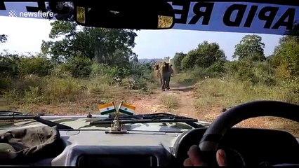 Angry elephant charges forest officials in jeep