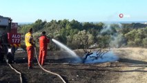 Manavgat'ta 8,5 hektar alanın zarar gördüğü orman çıkış yangının sebebi araştırılıyor