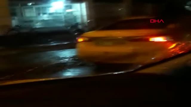Bingöl'de Trafikte Seyir Halindeki Ticari Taksiye Bağlı At, Görenleri Hayretler İçerisinde Bıraktı