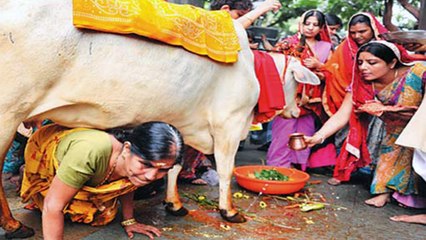 Gopashtami Vrat: इस विधि से करें गाय का श्रृंगार, मिलेगा सौ गुना पुण्य | गोपाष्टमी व्रत | Boldsky