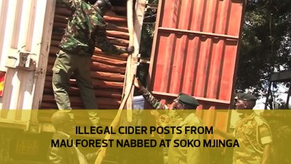 Illegal Cider posts from Mau forest nabbed at Soko Mjinga