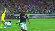 Palmeiras x Fluminense (Campeonato Brasileiro 2018 34ª rodada) 1° tempo