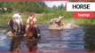 Frightening moment horse fall on woman in pond | SWNS TV