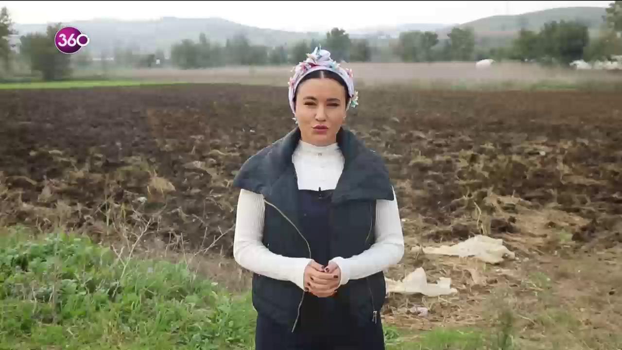 Kolay Mı Sandın?