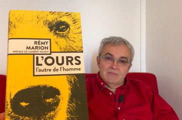 Interview de Rémy Marion : L'ours bien léché