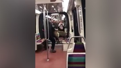 À Paris, un homme vole une chèvre au Jardin des Tuileries et prend le métro avec !