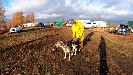 Pampa training camp 2018 avec les Norrland Husky