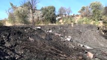 Manavgat'taki orman yangını - ANTALYA