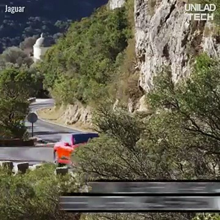 Electronic Jaguar