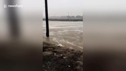 Flooding in Kuwait sweeps away parked cars and causes mayhem