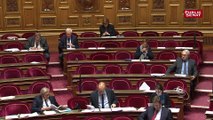 Sécurité sociale: Agnès Buzyn évalue à 700 millions « 16 mesures » introduites par le Sénat