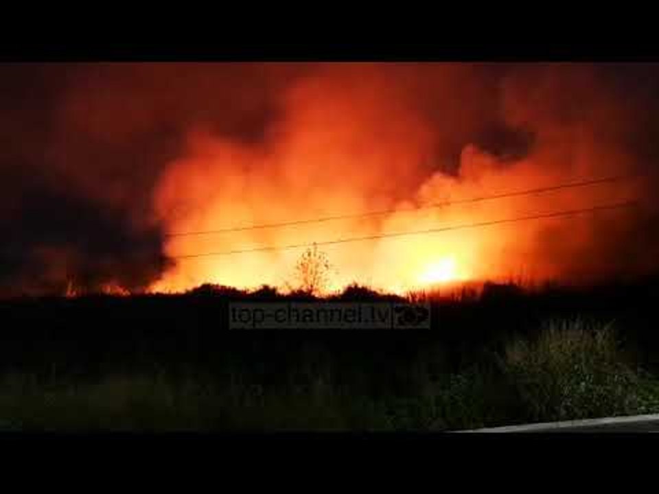 Zjarr i madh pranë autostradës Lushnje-Rrogozhinë - Top Channel Albania - News - Lajme