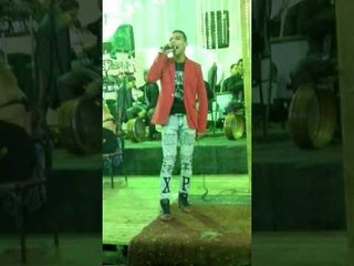 وليد الصغير - مسلطن الفرح