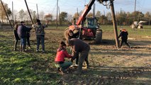 La houblonnière en cours de montage