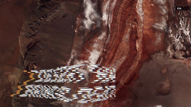 When It Rained In The Driest Desert On Earth, It Caused An Extinction