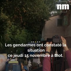 Une dizaine de chats morts ont été retrouvés dans une maison à Biot