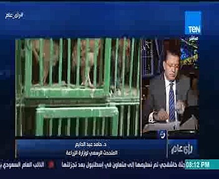 الزراعة : قرار منع تداول الدواجن الحية لا رجعة فيه