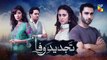 Tajdeed e Wafa Episode 10 promo Hum Tv Drama 18 November 2018