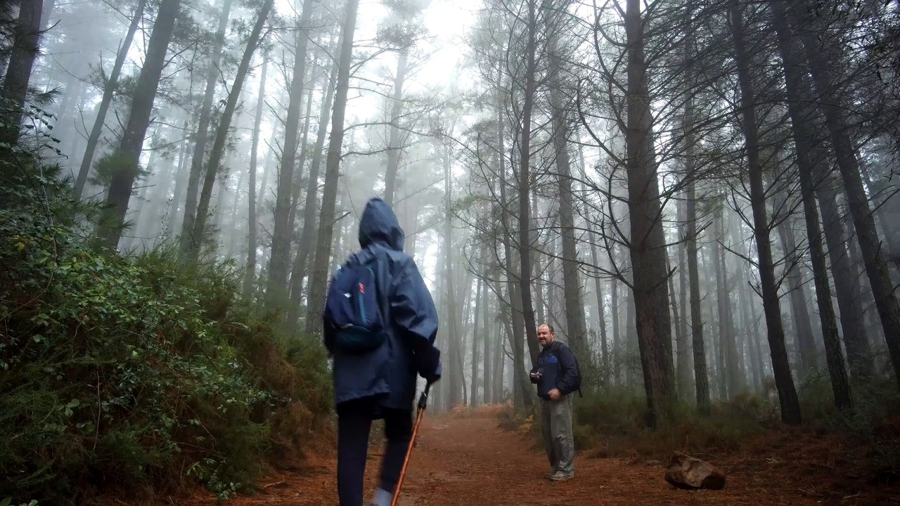 Dentro de la Niebla (Tráiler)