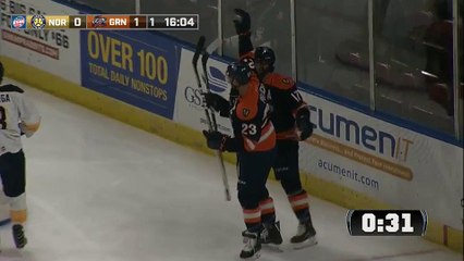 ECHL Norfolk Admirals 0 at Greenville Swamp Rabbits 2