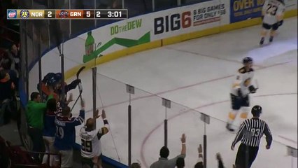 ECHL Norfolk Admirals 2 at Greenville Swamp Rabbits 6