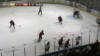 ECHL Norfolk Admirals 2 at Greenville Swamp Rabbits 6