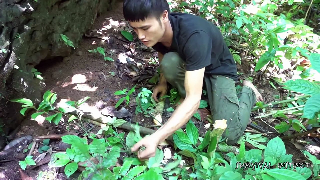 Survival Instinct - Trap animals and complete the house