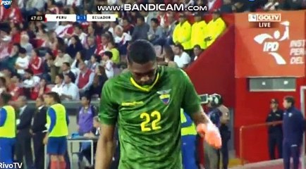 Antonio Valencia  Goal - Peru vs Ecuador 0-1