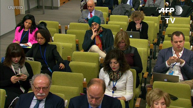 Sete capacetes azuis da ONU mortos