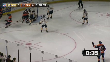 ECHL Norfolk Admirals 2 at Greenville Swamp Rabbits 8