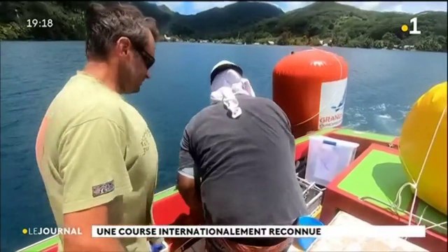 Le grand prix du pacifique de voile sous l’œil expert d’arbitres internationaux